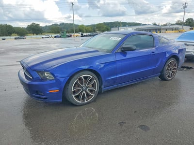 1ZVBP8AM0E5****** 2014 Ford Mustang