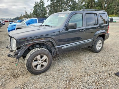 1J4PN2GK1AW****** 2010 Jeep Liberty
