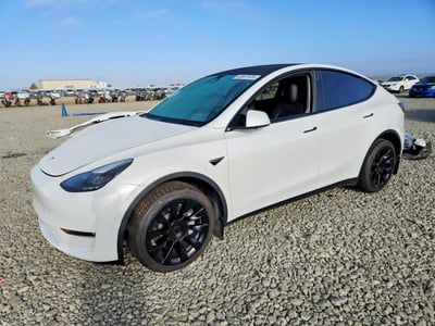 7SAYGDEE7PF****** 2023 Tesla Model Y