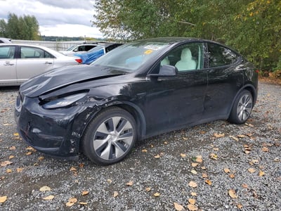 5YJYGDEE2MF****** 2021 Tesla Model Y
