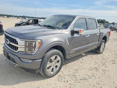 1FTFW1ED3PF****** 2023 Ford F-150