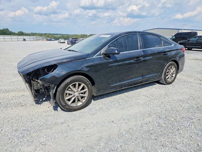 5NPE24AF3KH****** 2019 Hyundai Sonata