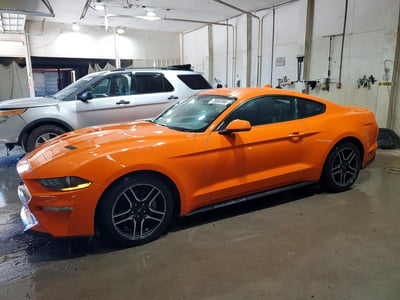 1FA6P8TH9L5****** 2020 Ford Mustang