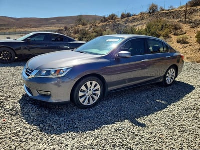 1HGCR2F81DA****** 2013 Honda Accord