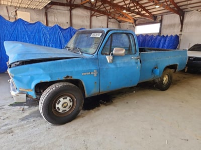 1GCGC24M1BF****** 1981 Chevrolet C20