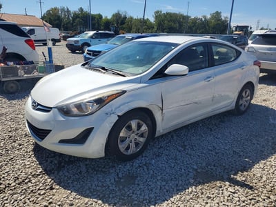 5NPDH4AE9GH****** 2016 Hyundai Elantra