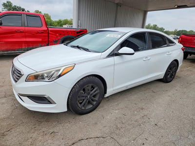 5NPE24AF7GH****** 2016 Hyundai Sonata
