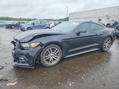 1FA6P8TH2F5****** 2015 Ford Mustang