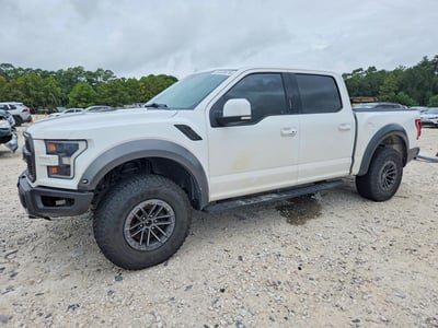 1FTFW1RG5KF****** 2019 Ford F-150