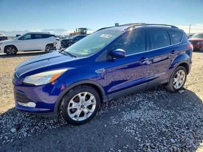 1FMCU0GXXDU****** 2013 Ford Escape