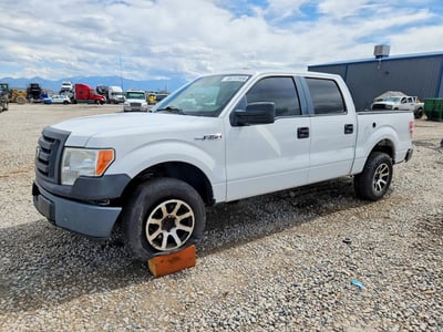 1FTEW1E87AF****** 2010 Ford F-150