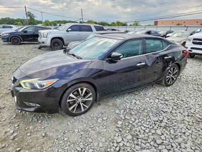 1N4AA6AP5GC****** 2016 Nissan Maxima