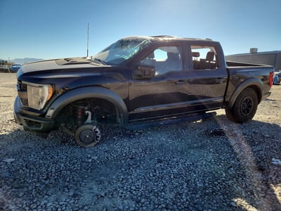 1FTFW1RG0PF****** 2023 Ford F-150