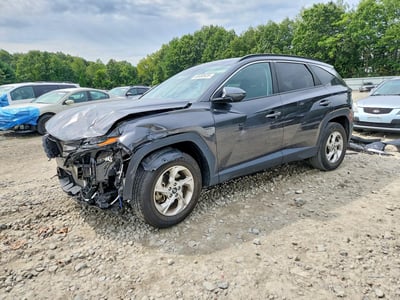 5NMJBCDE7RH****** 2024 Hyundai Tucson