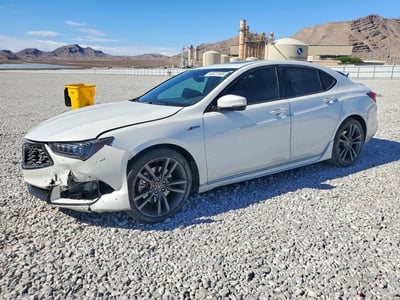 19UUB1F68KA****** 2019 Acura TLX