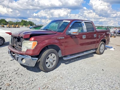 1FTEW1C81AF****** 2010 Ford F-150