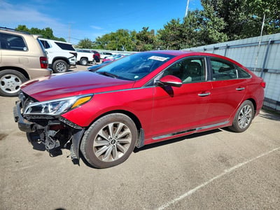 5NPE34AF5GH****** 2016 Hyundai Sonata