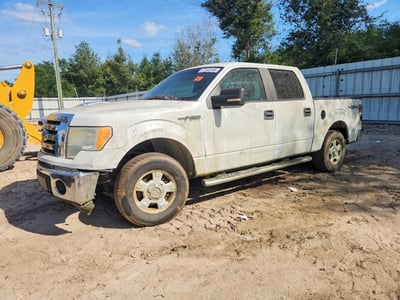 1FTFW1EVXAK****** 2010 Ford F-150