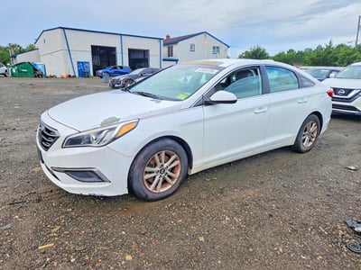 5NPE24AF2GH****** 2016 Hyundai Sonata