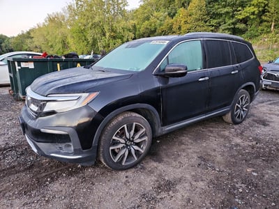 5FNYF6H93MB****** 2021 Honda Pilot