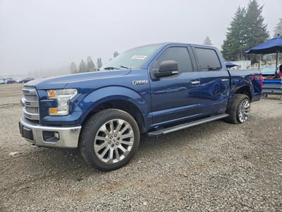1FTEW1EF3FF****** 2015 Ford F-150