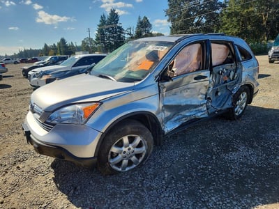 JHLRE48589C****** 2009 Honda CR-V