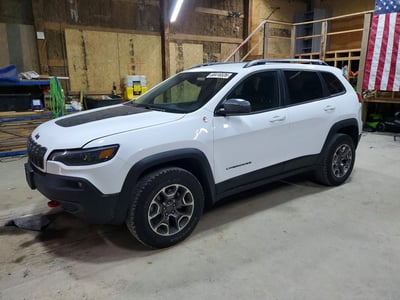1C4PJMBX0LD****** 2020 Jeep Cherokee
