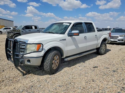 1FTFW1EF0DF****** 2013 Ford F-150