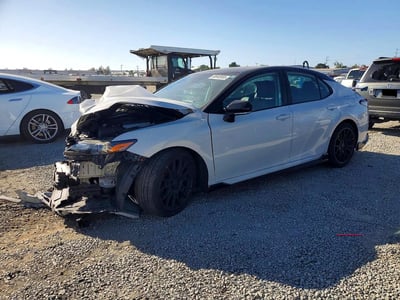 4T1KZ1AK9MU****** 2021 Toyota Camry