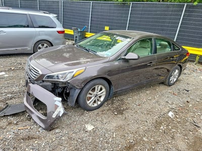 5NPE24AF4FH****** 2015 Hyundai Sonata