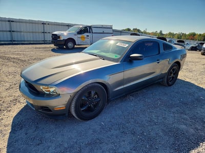 1ZVBP8AM5B5****** 2011 Ford Mustang