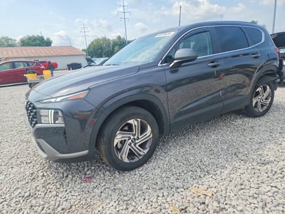 5NMS14AJ4PH****** 2023 Hyundai Santa Fe