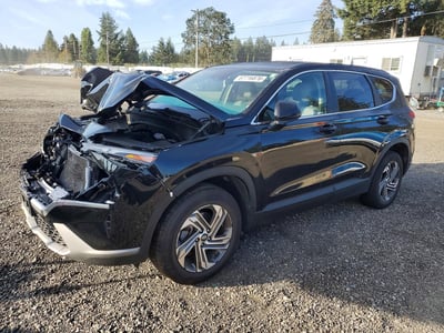 5NMS14AJ8PH****** 2023 Hyundai Santa Fe