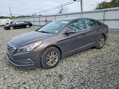 5NPE24AF5FH****** 2015 Hyundai Sonata