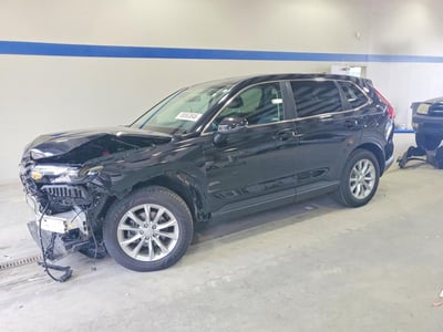 5J6RS4H72RL****** 2024 Honda CR-V