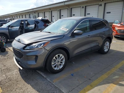 1FMCU9G66MU****** 2021 Ford Escape