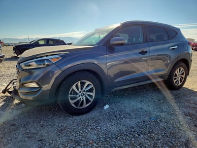 KM8J3CA46GU****** 2016 Hyundai Tucson