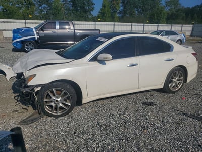 1N4AA51E09C****** 2009 Nissan Maxima