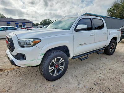 3TMCZ5AN2KM****** 2019 Toyota Tacoma