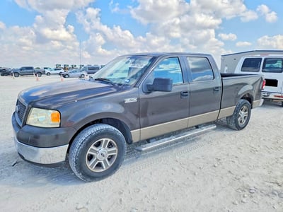 1FTRW12W36F****** 2006 Ford F-150