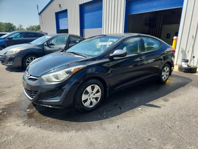 5NPDH4AE7GH****** 2016 Hyundai Elantra