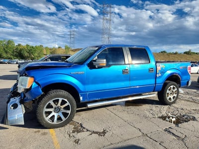 1FTFW1EV4AF****** 2010 Ford F-150