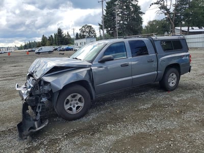 1D7HW48N86S****** 2006 Dodge Dakota
