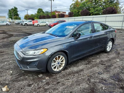 3FA6P0HD9KR****** 2019 Ford Fusion