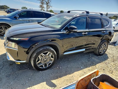 KM8S6DA24NU****** 2022 Hyundai Santa Fe