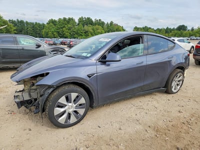 7SAYGDEE4PF****** 2023 Tesla Model Y