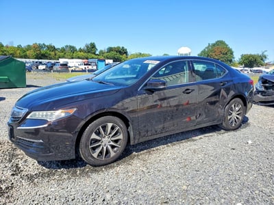 19UUB1F37GA****** 2016 Acura TLX