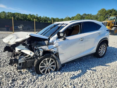 JTJDARBZ9M5****** 2021 Lexus NX