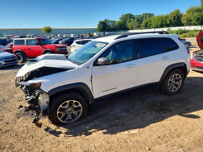 1C4PJMBX2LD****** 2020 Jeep Cherokee