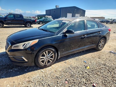 5NPE24AF3GH****** 2016 Hyundai Sonata